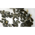 healthy agricultural product ukraine sunflower seeds exporter for sale